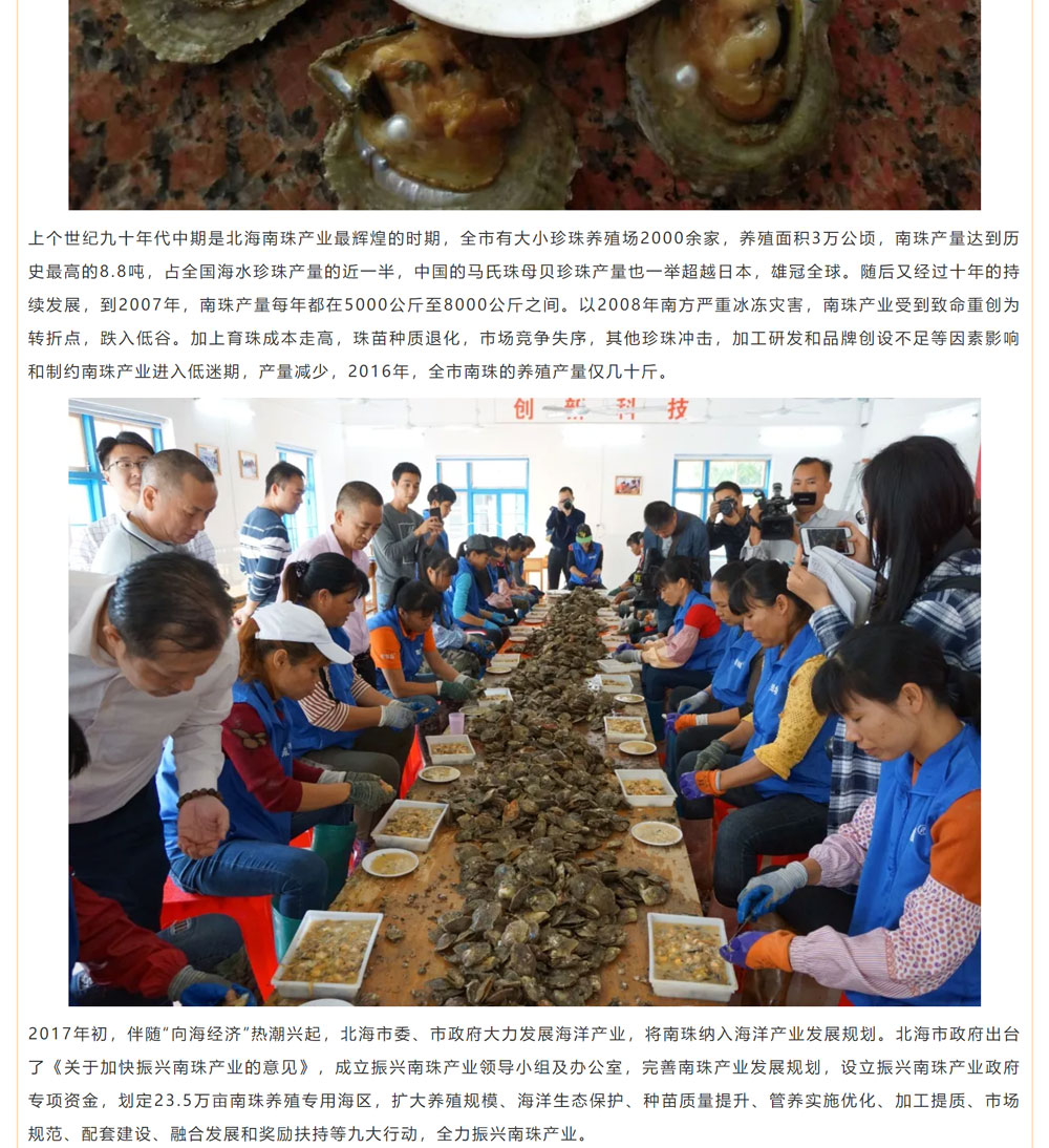 古老南珠，綻放異彩