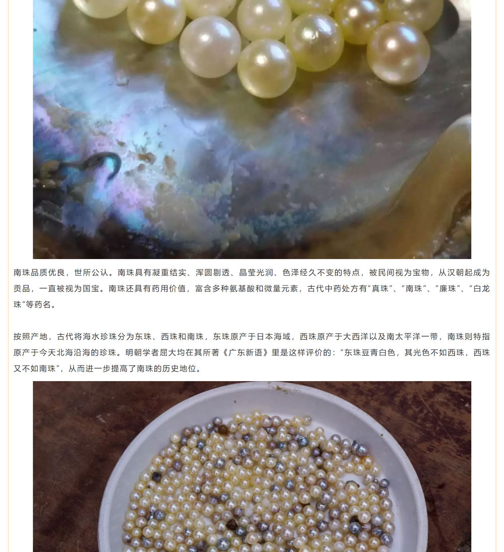古老南珠，綻放異彩